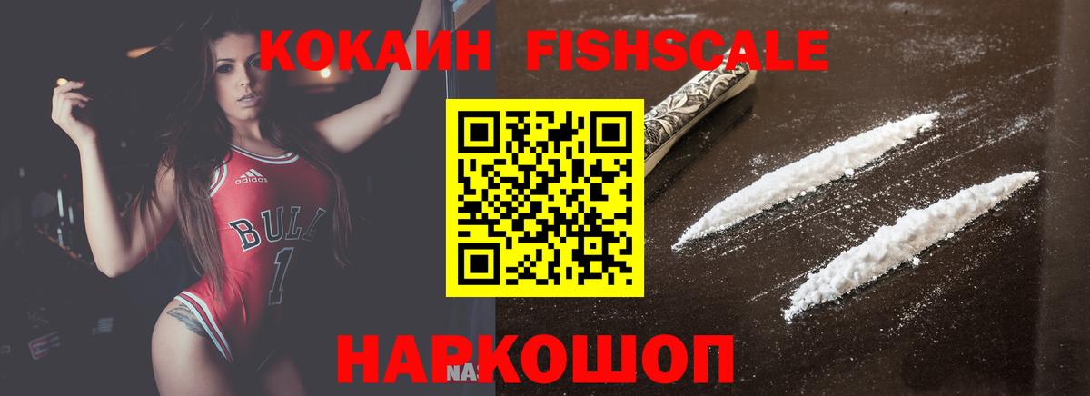Кокаин Эквадор Димитровград