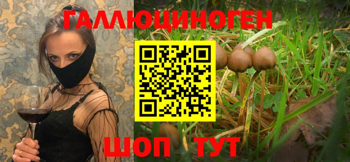 Димитровград  Галлюциногенные грибы Magic Shrooms  Вход с VPN  Галлюциногенные грибы Cubensis 
